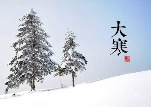 百度极速版