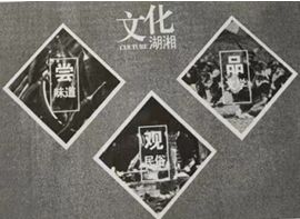 AlgoLab Photo Vector修改版