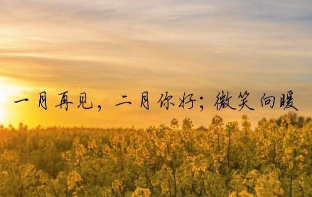 愤怒的小鸟季节版2017