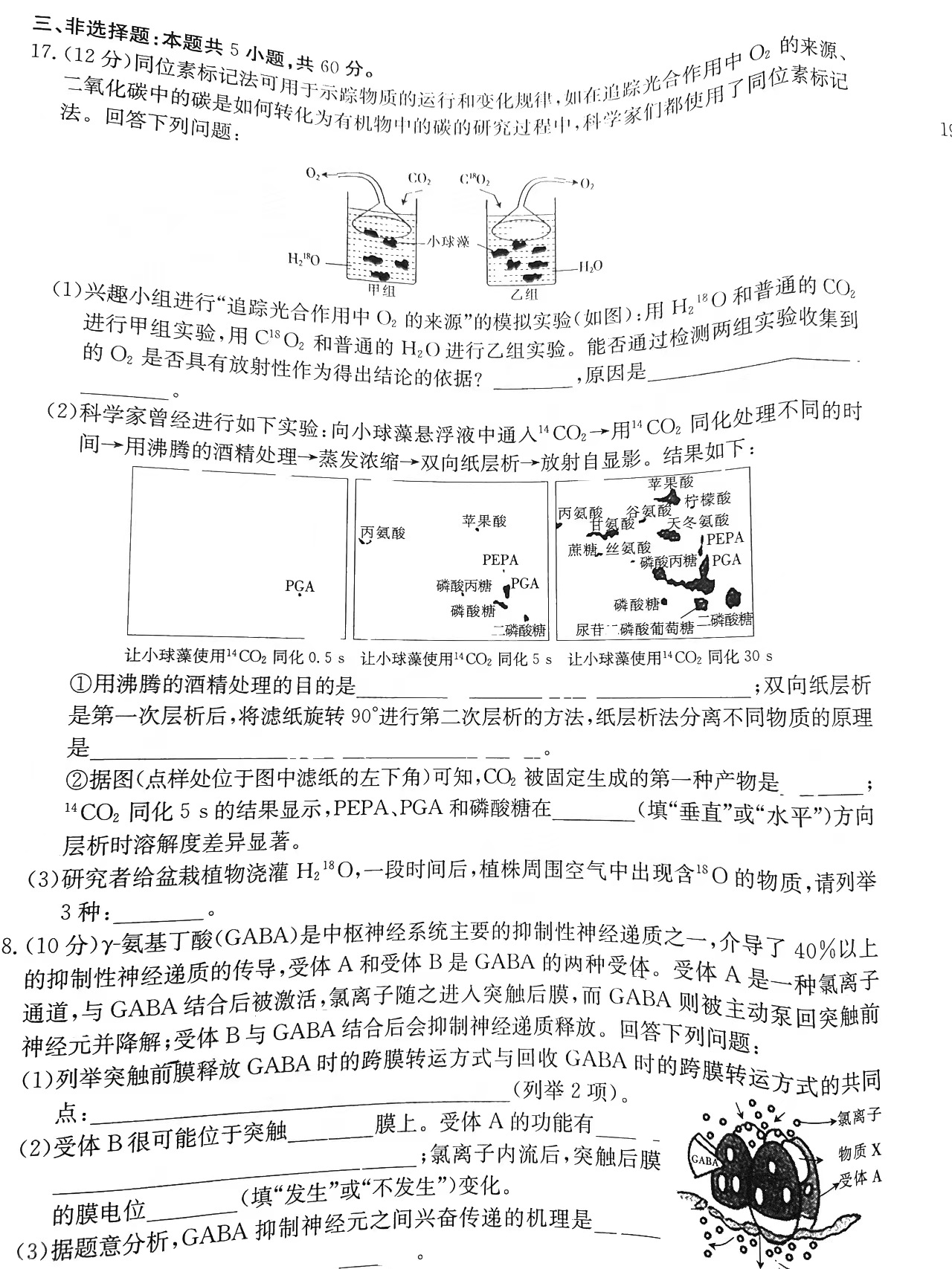 烧绳子内购修改版
