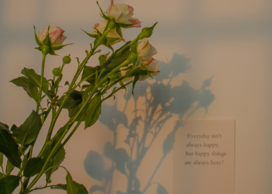 e2esoft vsc修改版(变声宝宝虚拟声卡驱动)