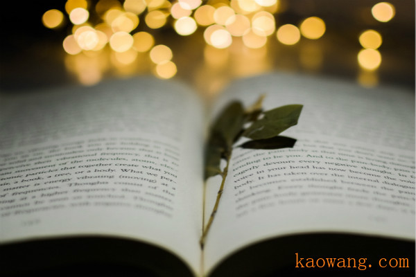 自由天空万能综合驱动包