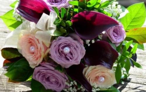 仲博注册入口V1.2专业版