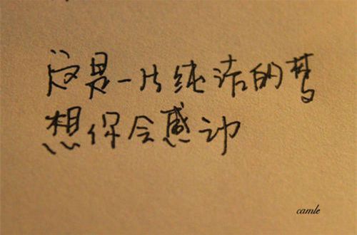 足球体育app入口2025版角斗场主界面