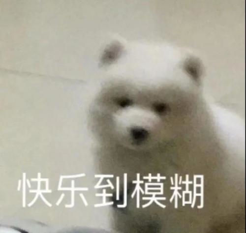 河南汽车维修平台APP