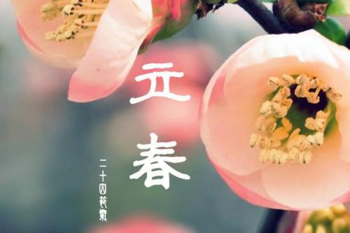 OB电竞平台 2025最新版 游戏主界面与球桌展示