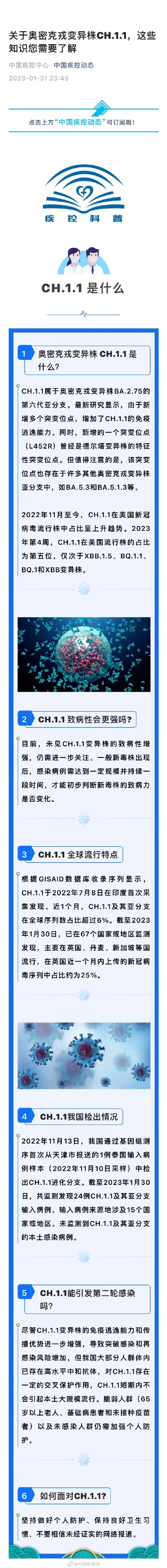 鱼泡网