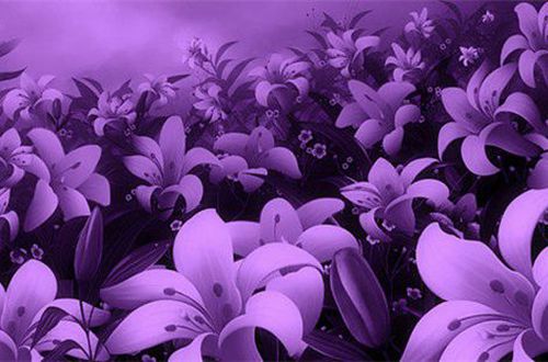 万利appV9.5专业版