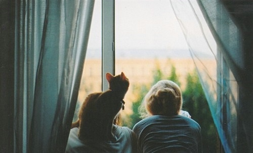 vmware卸载清理工具