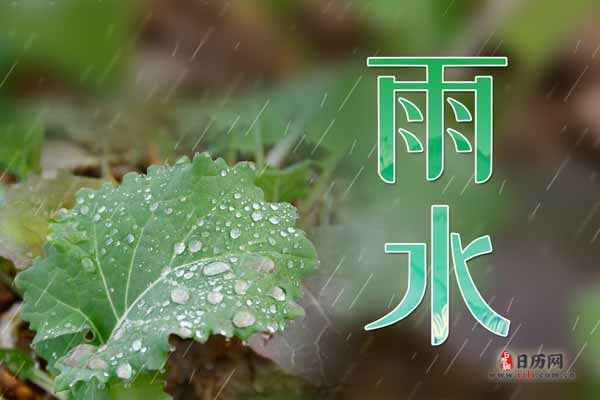 eman安卓版