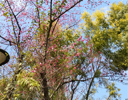 小熊洗车APP