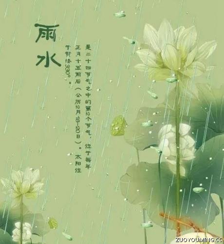 chm阅读器中文版(CHM Viewer)