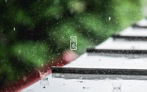 贵州药材APP