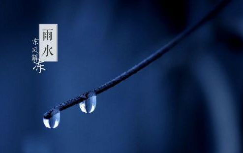 eman安卓版