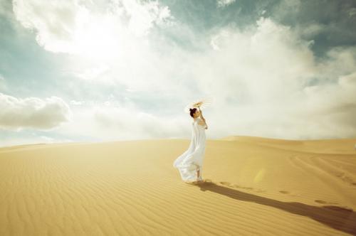 神州数码DCN-530TX网卡驱动程序