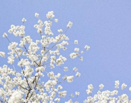 开云kaiyun官方在线登陆安卓版二维码
