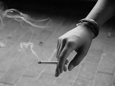汤姆猫过情人节