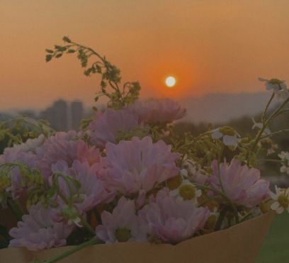 kaiyun体育注册流程V4.5专业版