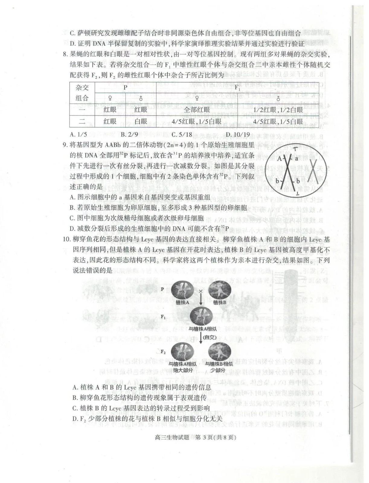 汉鼎繁黑体(繁)字体
