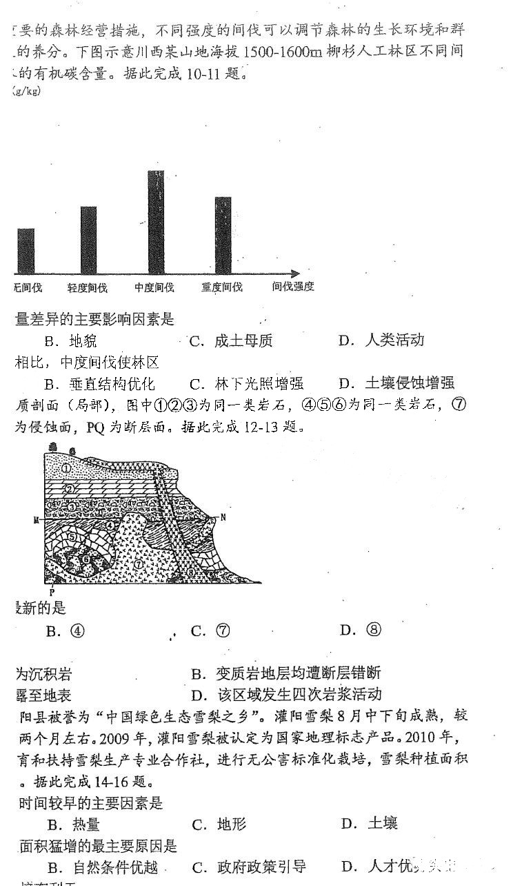 开云手机入口官网最新版宠物与家园界面