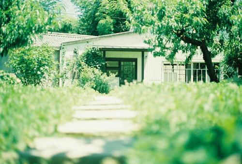 英伟达播放器(NVIDIA 3D Vision Video Player)