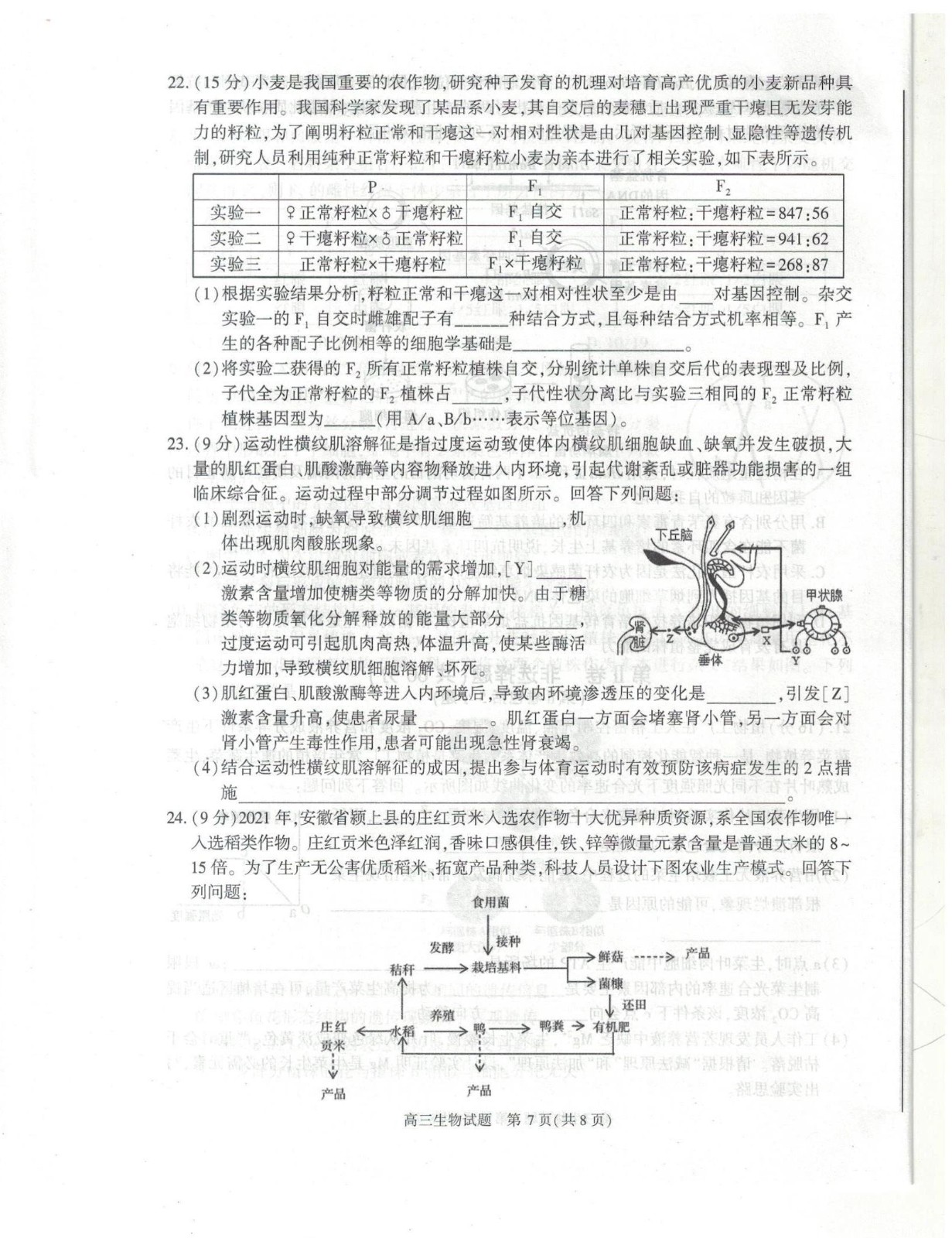 LD乐动V5.6专业版
