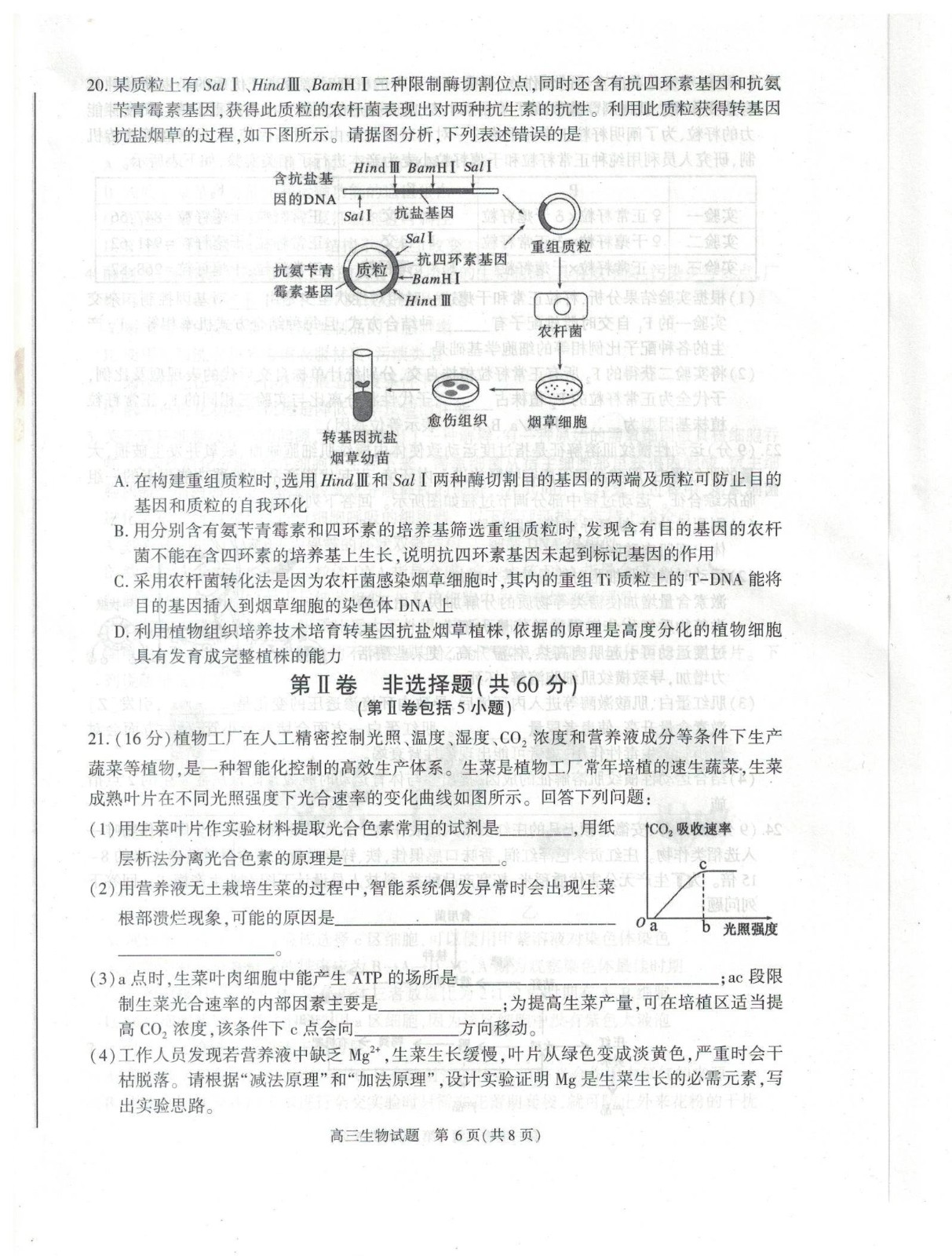小熊洗车APP