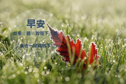 开云app手机网页版安卓版二维码