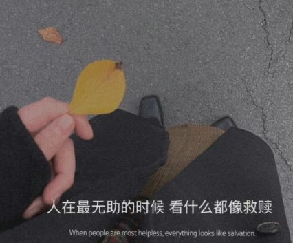 巅峰国际app安卓版二维码