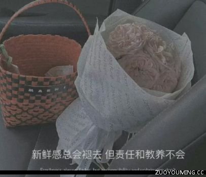 Photoshop 视频教程1000例打包