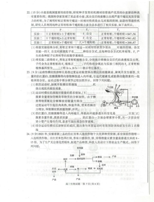 kaiyun体育官网登录下载V2.2专业版