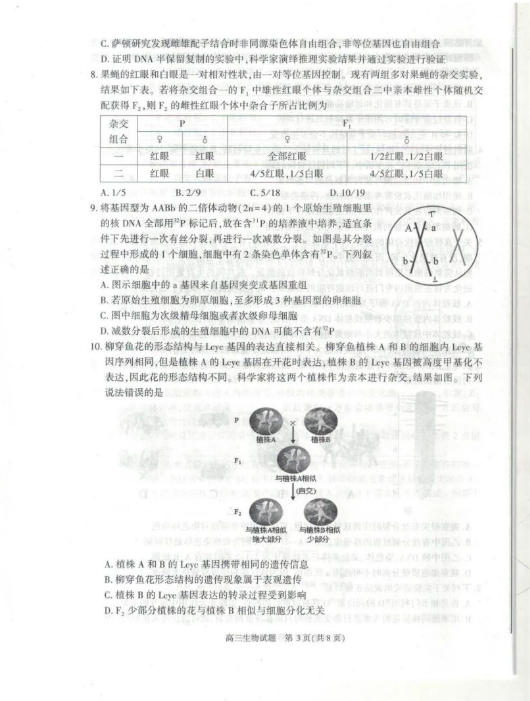 新时代赌场网页版V7.2专业版