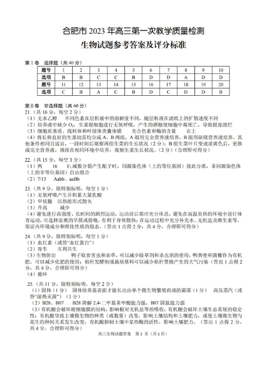 极品飞车：集结