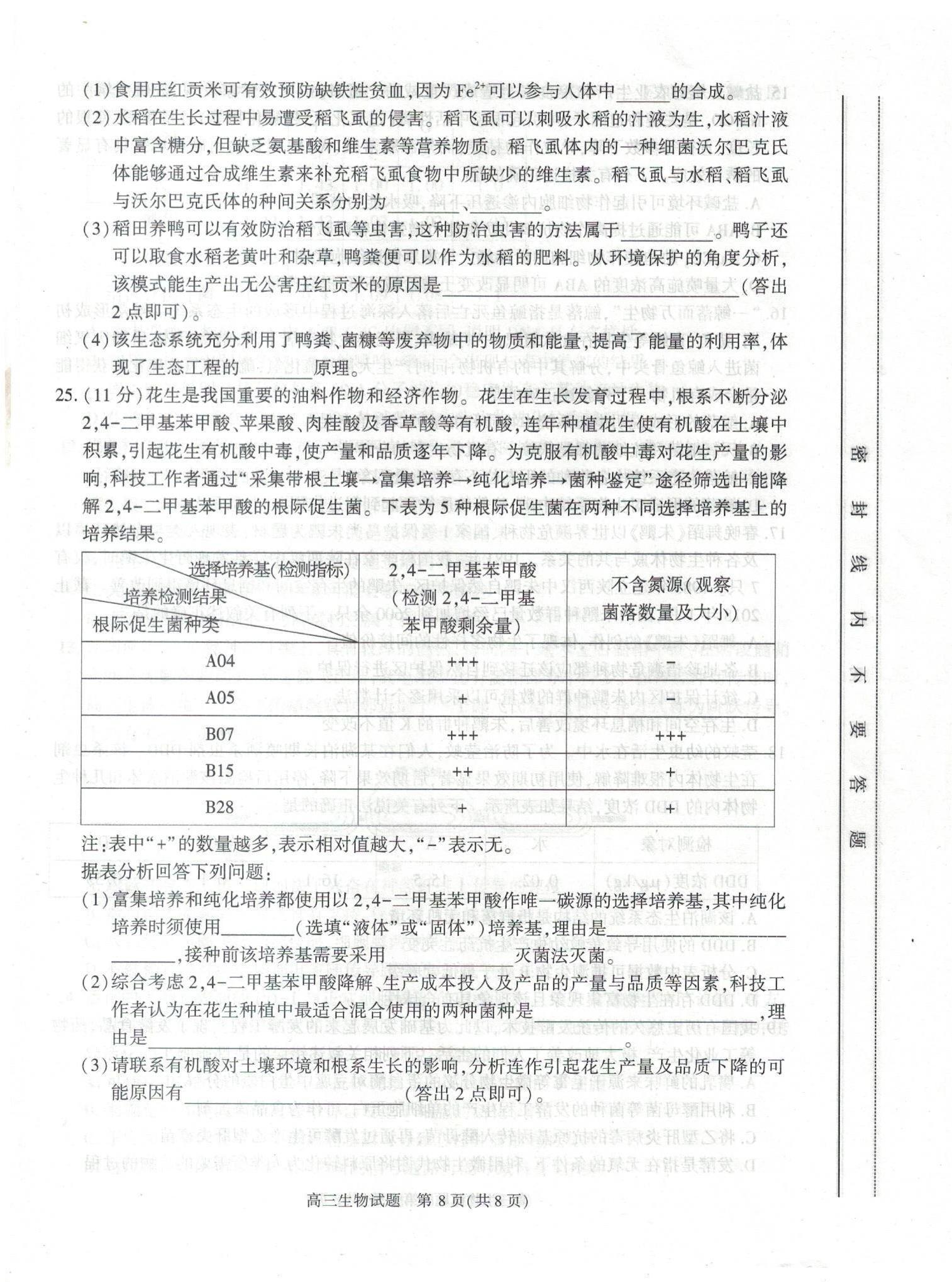 Auslogics Registry Cleaner(专业注册表清理软件)