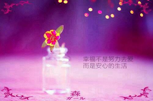 贵州药材APP