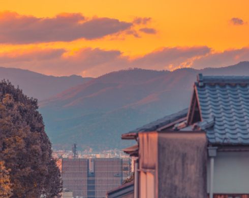 贵州药材APP