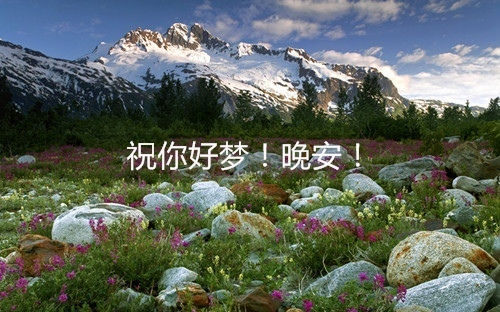 eman安卓版