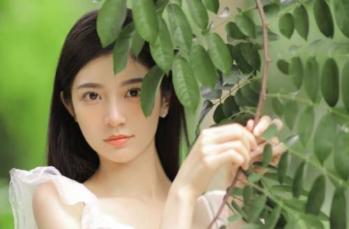 贵州药材APP