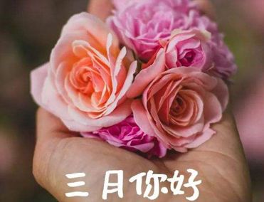 江南体育网站安卓版二维码