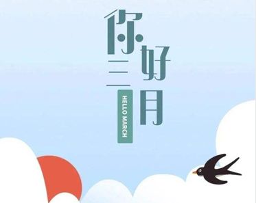 金牌棋牌appV6.4专业版