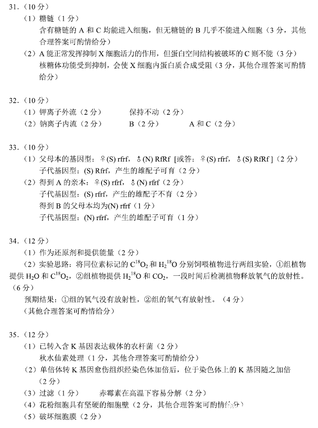 灵魂筹码血奴娇套装2025版游戏场景截图
