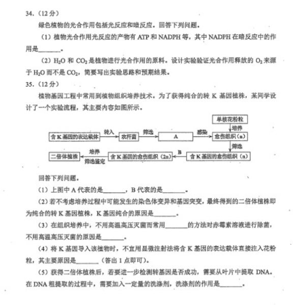 河南汽车维修平台APP