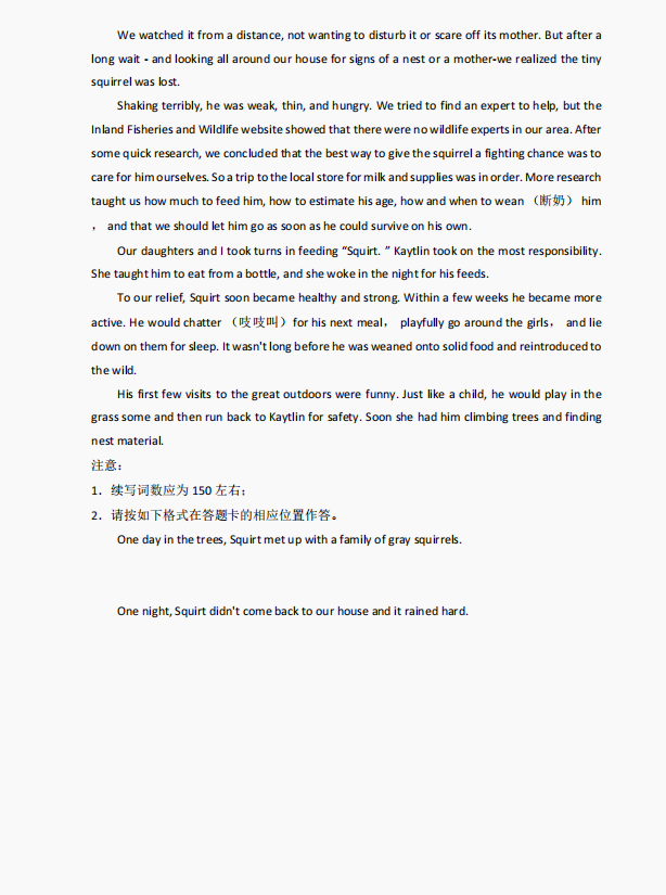 游戏王：决斗链接