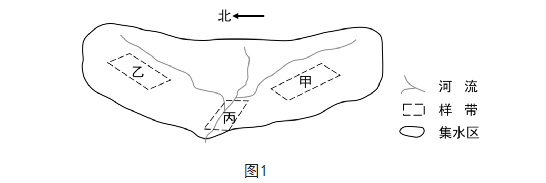 888电子游戏平台2025最新版车内视角与精细仪表盘