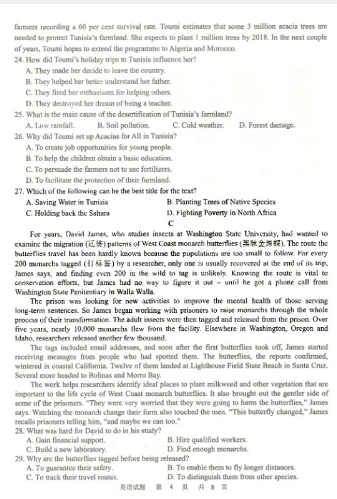 灵魂筹码2025最新版游戏内商店与道具界面