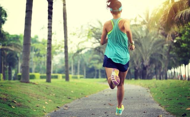 开体育网页版2025最新版武器库界面