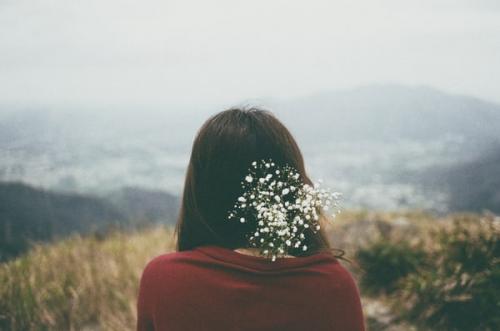 pc加拿大网页版V9.2专业版