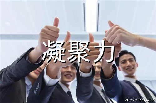 贵州药材APP