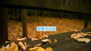 沙龙会app