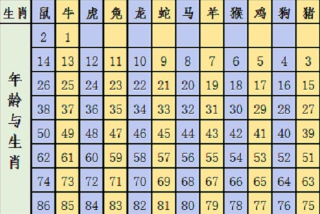 小熊洗车APP